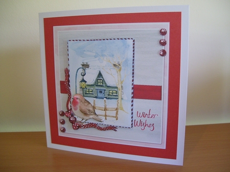 Christmas robin by Angela Holyday