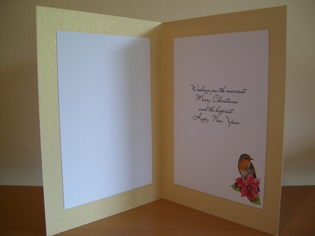 Robin & Lantern 5x7 Card Kit by Angela Holyday