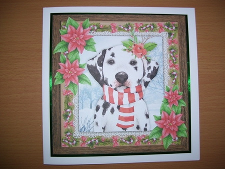 Gorgeous Festive Dalmation With Red Flowers 8x8 by Angela Holyday
