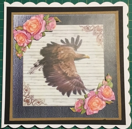 Eagle and Wolf. by Angela Riley