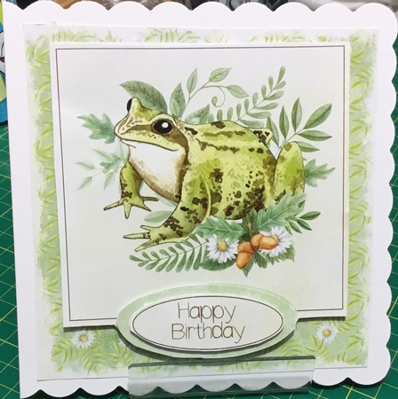 Forest Friends Frog by Angela Riley