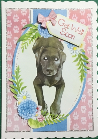 Chocolate Labrador by Angela Riley