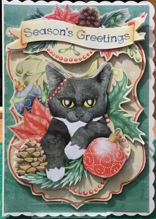 Festive Friends Black and White Cat by Angela Riley