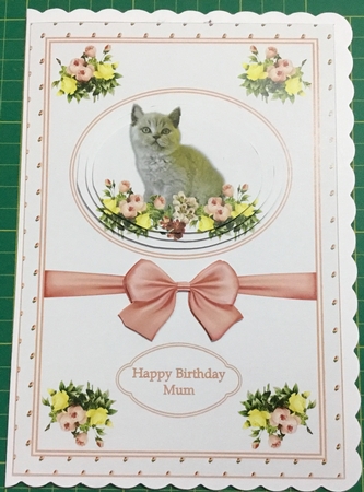 A5 step by step card front and choice of two inserts. by Angela Riley