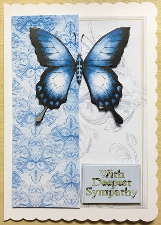 Rococo Butterfly by Angela Riley