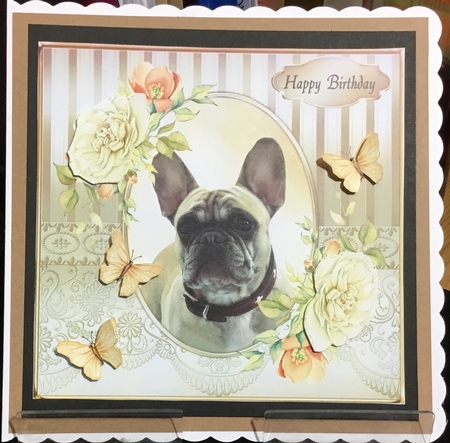 Cute Dog and Roses 5 by Angela Riley