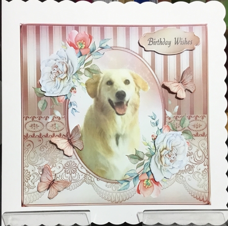 Cute Dog and Roses 8 by Angela Riley