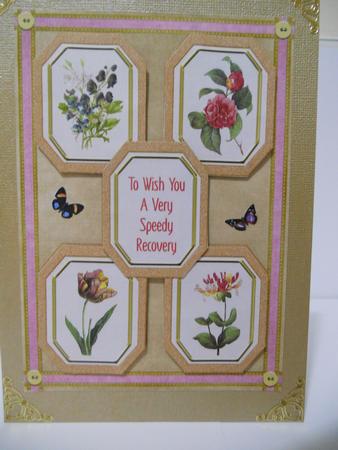 Flowers in Octagonal Frames by Angela Riley