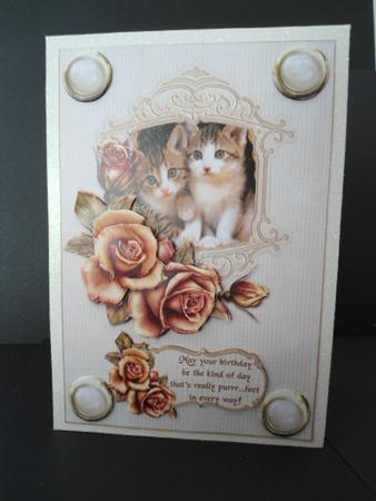 Cats and Roses Birthday by Angela Riley