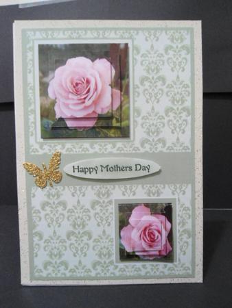 Pink Rose for Mum by Angela Riley
