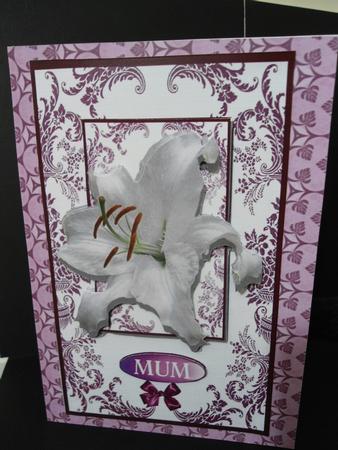 Purple Lily for Mum by Angela Riley