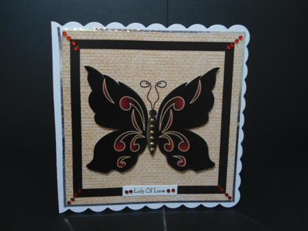 Black Butterfly on Canvas by Angela Riley