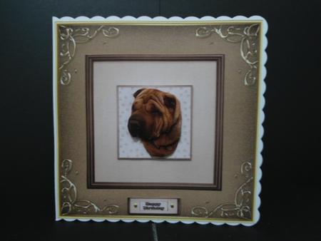 Shar Pei Portrait 3D Decoupage by Angela Riley
