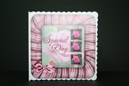 Special Day Pink Roses in Pink Frame by Angela Riley