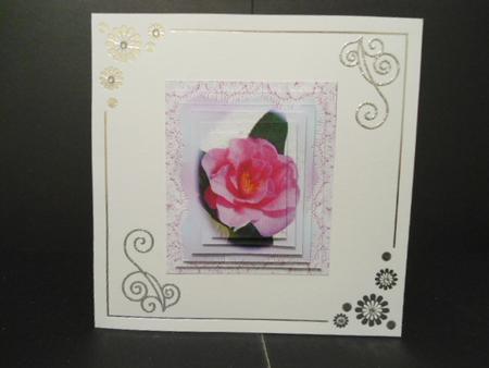Camellia Pyramid by Angela Riley