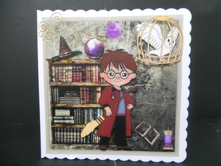 Wizard Boy by Angela Riley