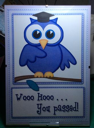 A4 Wise Owl You Passed Felties Card Topper by Angela Riley