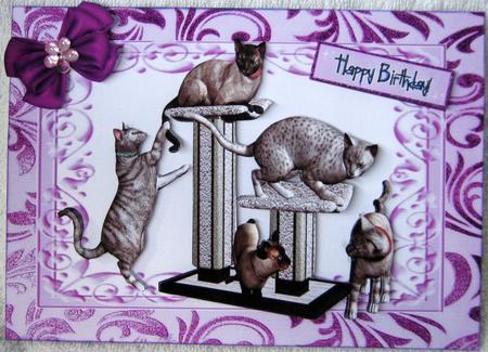 Playful Kitties, in a Frame by Angela MacWillson