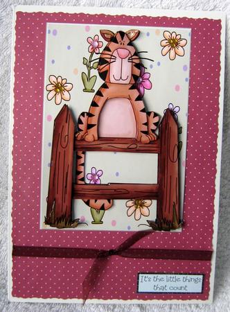 Spring Cat by Angela MacWillson