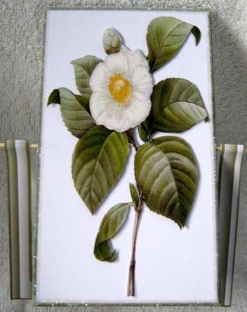 Stunning White Flower Spinner Card by Angela MacWillson