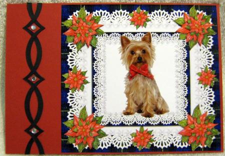 Yorkshire Terrier Poinsettias Lace & Pearls Yorkie Xmas by Angela MacWillson