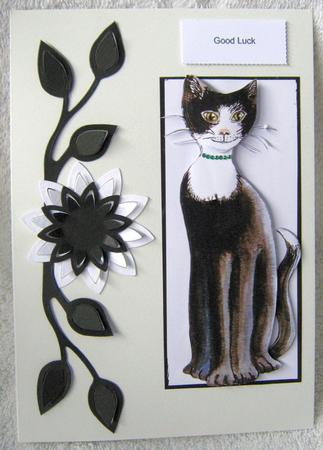 Lucky the Cat by Angela MacWillson