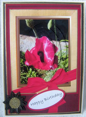 Pretty as a Poppy Card Front Design Sheet by Angela MacWillson