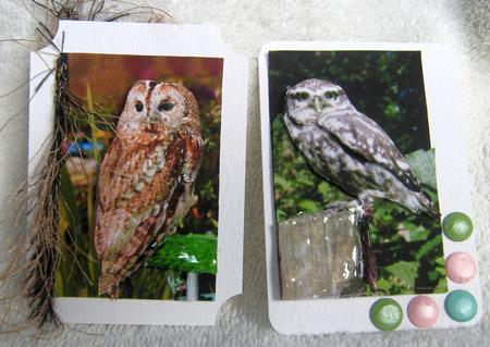 Owl Toppers Sheet with Layers by Angela MacWillson
