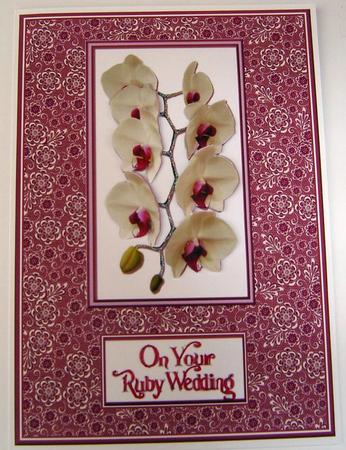 Ruby Wedding- Orchids by Angela MacWillson