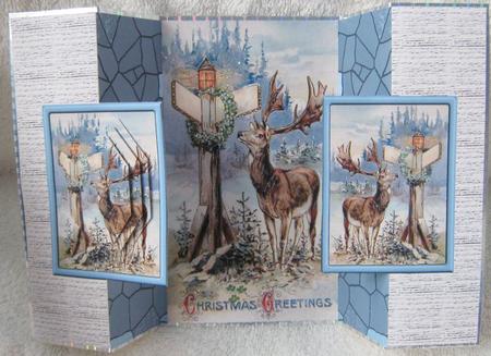 Reindeer at Christmas by Angela MacWillson
