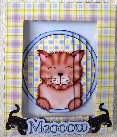 Kitten Thru the Porthole Picture Framed Card by Angela MacWillson