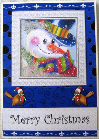 Snowman Shaker Card with Robins by Angela MacWillson