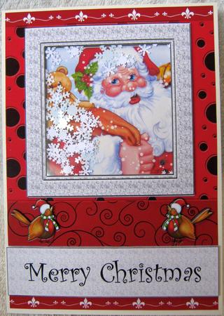 Santa Shaker Card with Robins by Angela MacWillson
