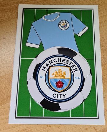 Football Fan in Sky Blue by Angela Sangster