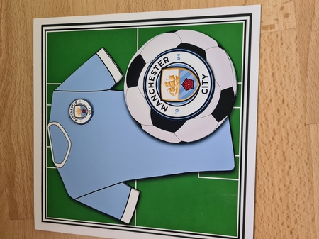 Football Fan in Sky Blue 8x8 by Angela Sangster