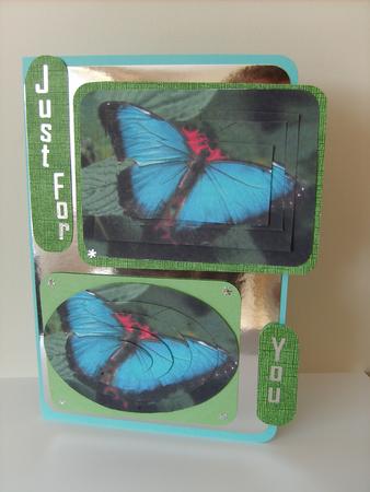 Butterfly Fantasy by ANGELA STYLES