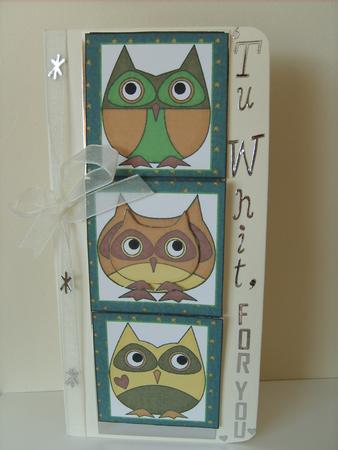 Hooty Owl Waterfall by ANGELA STYLES