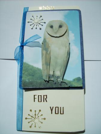 Barn Owl Step by Step by ANGELA STYLES