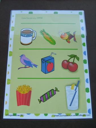 Which One Do You Drink - Kindergarten Learning Sheet by ANGELA STYLES