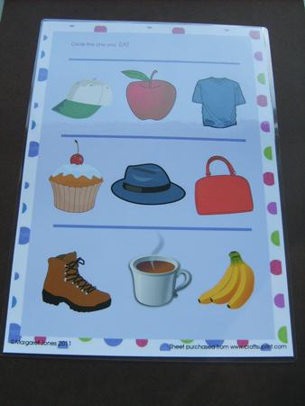 Which One Do You Eat Kindergarten Learning Sheet by ANGELA STYLES