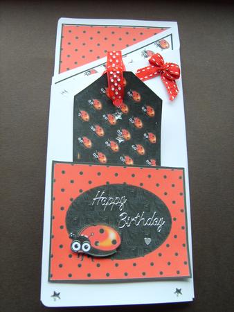Ladybird Bookmark Card by ANGELA STYLES