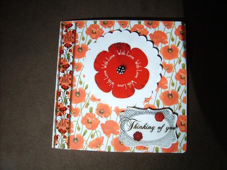 Beautiful Poppy Background by ANGELA STYLES