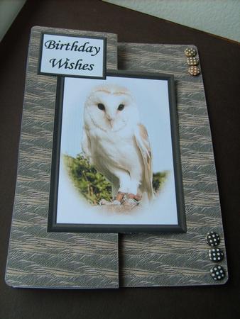 Barn Owl Fold Back Sheet by ANGELA STYLES