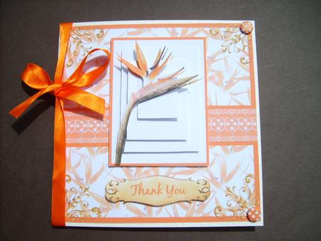 Bird of Paradise Square Step by Step / Pyramid by ANGELA STYLES