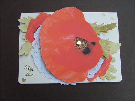 Pretty Poppies by ANGELA STYLES