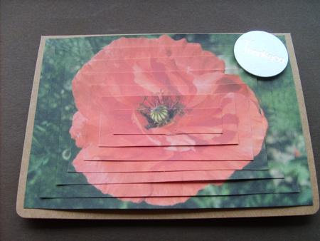 Poppy Pyramid by ANGELA STYLES