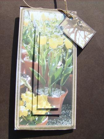 Relax in the Garden-money and Gift Wallet by ANGELA STYLES