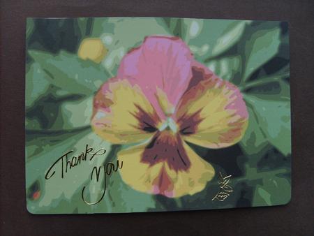 Pansy Background 1 by ANGELA STYLES