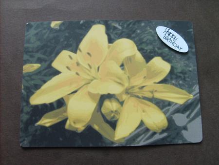 Yellow Lilies Background by ANGELA STYLES