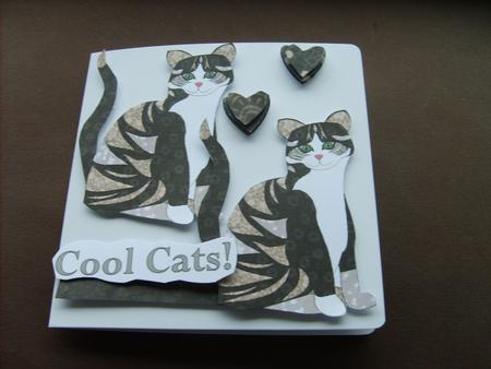 Calico Cats Shades of Grey by ANGELA STYLES